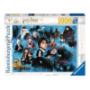 Harry Potter - Puzzle 1000 pièces Le Monde Magique d'Harry Potter