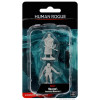 Dungeons & Dragons: Nolzur’s Marvelous - Figurines miniatures à peindre Human Male Rogue