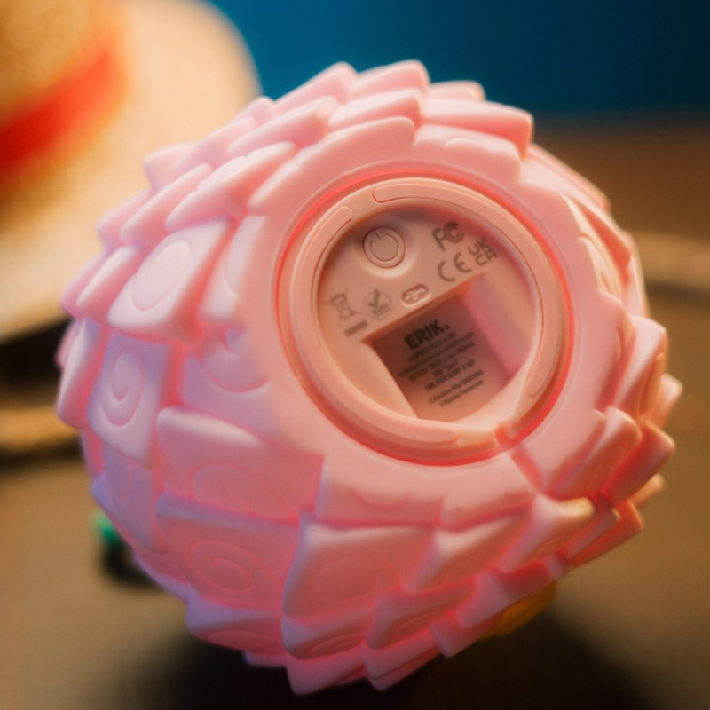 One Piece – Lampe Fruit des Eclosions – Erik