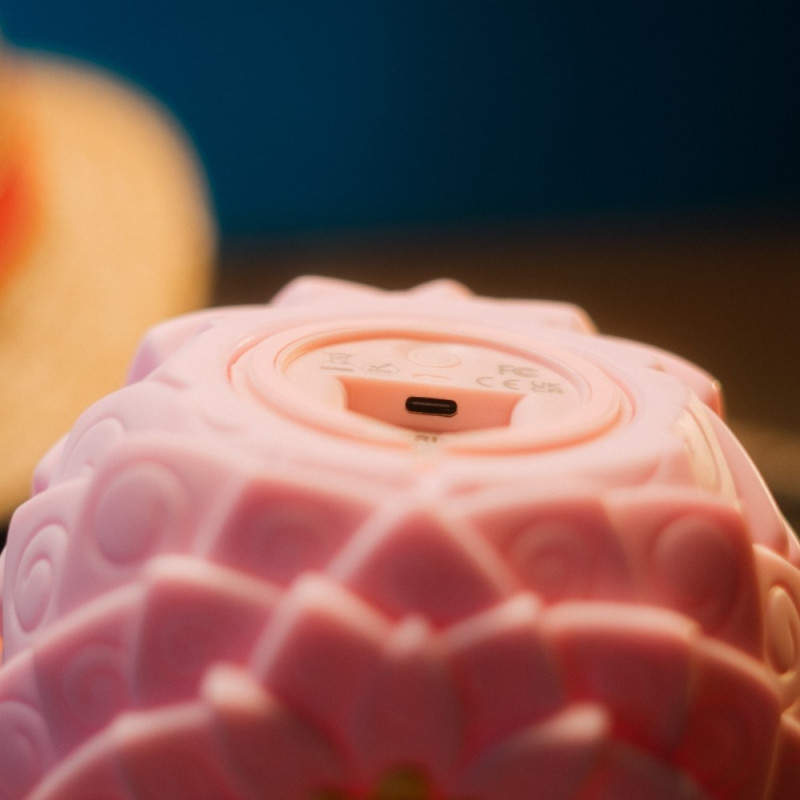 One Piece – Lampe Fruit des Eclosions – Erik