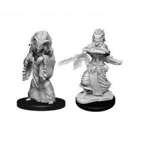 Dungeons & Dragons: Nolzur’s Marvelous - Figurines miniatures à peindre Night Hag & Dusk Hag