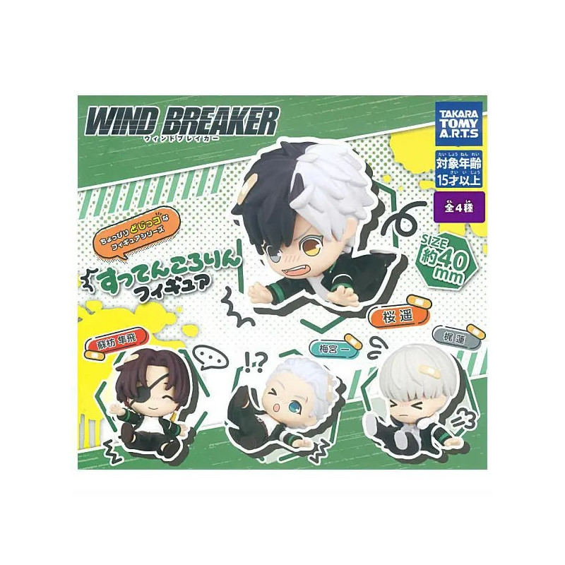 Wind Breaker - Figurine Suttenkororin
