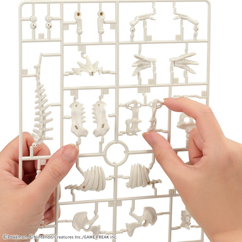 Pokémon - Model kit Collection Fossil Pokemon Series Tyrantrum (Rexillius)