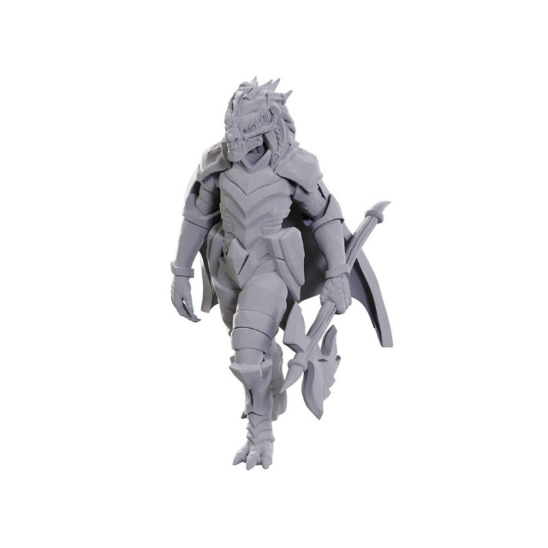 Dungeons & Dragons: Nolzur’s Marvelous - Figurine miniature à peindre Dragonborn of Tiamat
