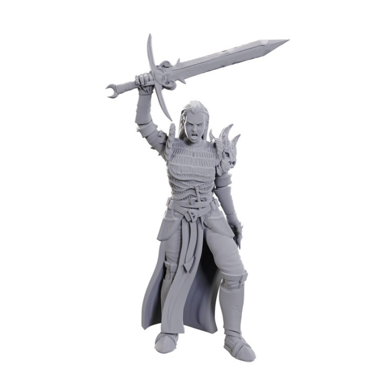Dungeons & Dragons: Nolzur’s Marvelous - Figurine miniature à peindre Blackguard