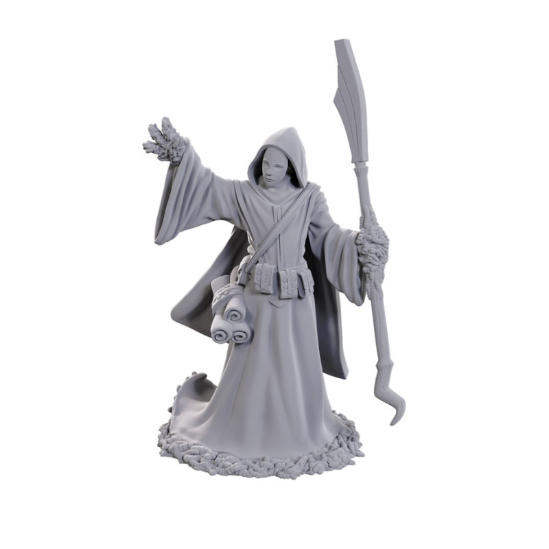 Dungeons & Dragons: Nolzur’s Marvelous - Figurine miniature à peindre Star Spawn Larva Mage