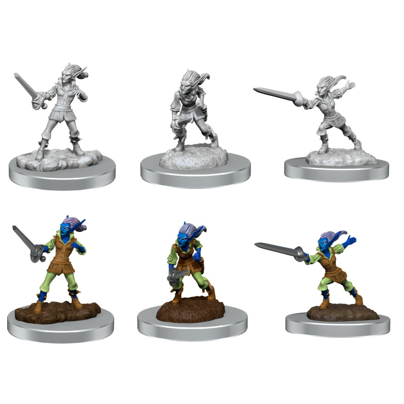 Dungeons & Dragons: Nolzur’s Marvelous - Figurines miniatures à peindre Quicklings