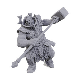 Dungeons & Dragons: Nolzur’s Marvelous - Figurine miniature à peindre Firegaunt