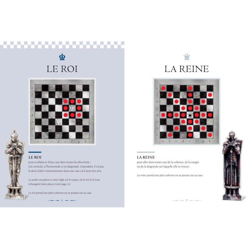 Harry Potter - Le Jeu d'échecs - Galimard Jeunesse