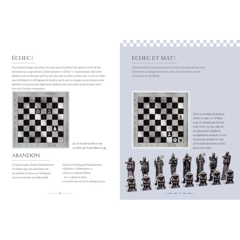 Harry Potter - Le Jeu d'échecs - Galimard Jeunesse