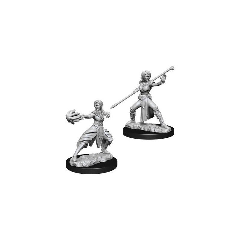 Dungeons & Dragons: Nolzur’s Marvelous - Figurines miniatures à peindre Female Half-Elf Monk