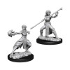 Dungeons & Dragons: Nolzur’s Marvelous - Figurines miniatures à peindre Female Half-Elf Monk