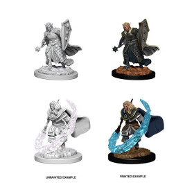 Dungeons & Dragons: Nolzur’s Marvelous - Figurines miniatures à peindre Elf Male Cleric