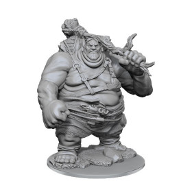 Dungeons & Dragons: Nolzur’s Marvelous - Figurine miniature à peindre Hill Giant