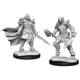 Dungeons & Dragons: Nolzur’s Marvelous - Figurines miniatures à peindre Female Dragonborn Fighter