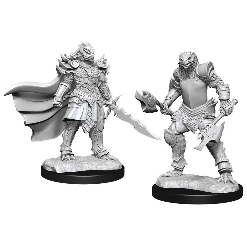 Dungeons & Dragons: Nolzur’s Marvelous - Figurines miniatures à peindre Female Dragonborn Fighter