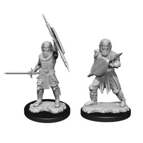 Dungeons & Dragons: Nolzur’s Marvelous - Figurines miniatures à peindre Human Fighter Male