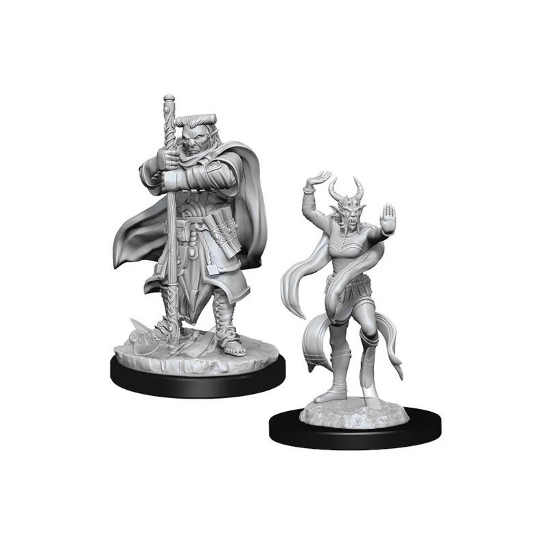 Dungeons & Dragons: Nolzur’s Marvelous - Figurines miniatures à peindre Hobgoblin Devastator & Iron Shadow
