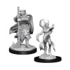 Dungeons & Dragons: Nolzur’s Marvelous - Figurines miniatures à peindre Hobgoblin Devastator & Iron Shadow