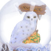 Harry Potter - Boule à neige Hedwige Hogsmeade Village 15 cm