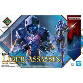 30MF - 30 Minutes Fantasy - Maquette Liber Assassin