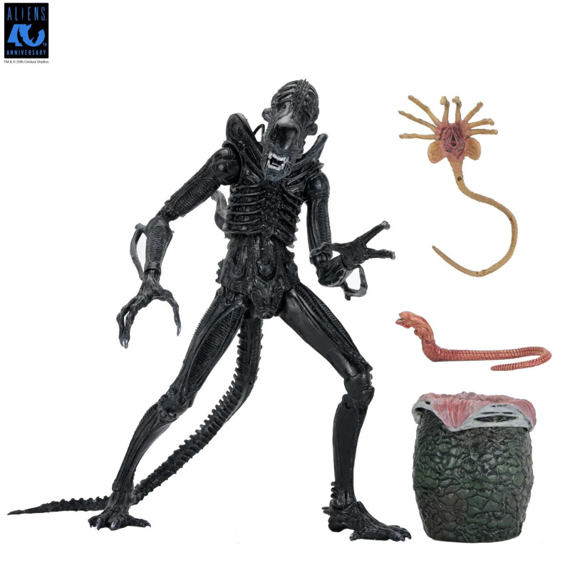 Aliens - Figurine Ultimate 40th Anniversary Warrior Xenomorph Black 23 cm