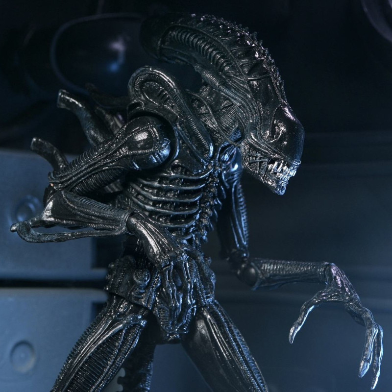 Aliens - Figurine Ultimate 40th Anniversary Warrior Xenomorph Black