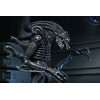 Aliens - Figurine Ultimate 40th Anniversary Warrior Xenomorph Black