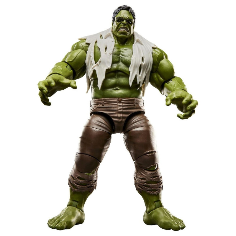 Marvel Legends -Brand New Day - Figurine Hulk - Hasbro