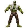 Marvel Legends -Brand New Day - Figurine Hulk - Hasbro