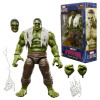 Marvel Legends -Brand New Day - Figurine Hulk - Hasbro