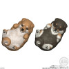 Mocchiri Kororin - Figurine Blind Box Chien ALEATOIRE - Bandai