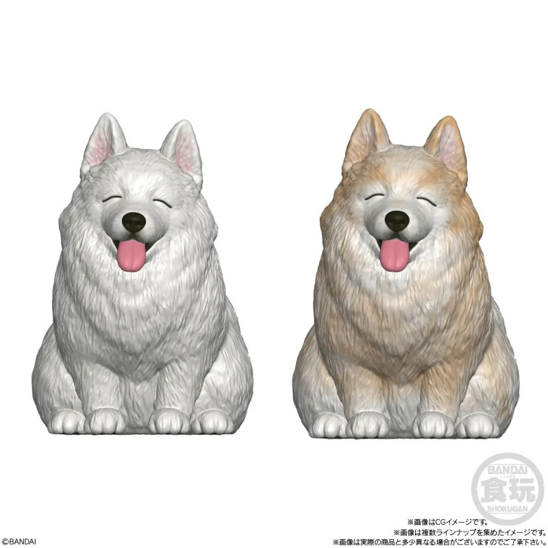 Mocchiri Kororin - Figurine Blind Box Chien ALEATOIRE - Bandai