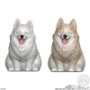 Mocchiri Kororin - Figurine Blind Box Chien ALEATOIRE - Bandai