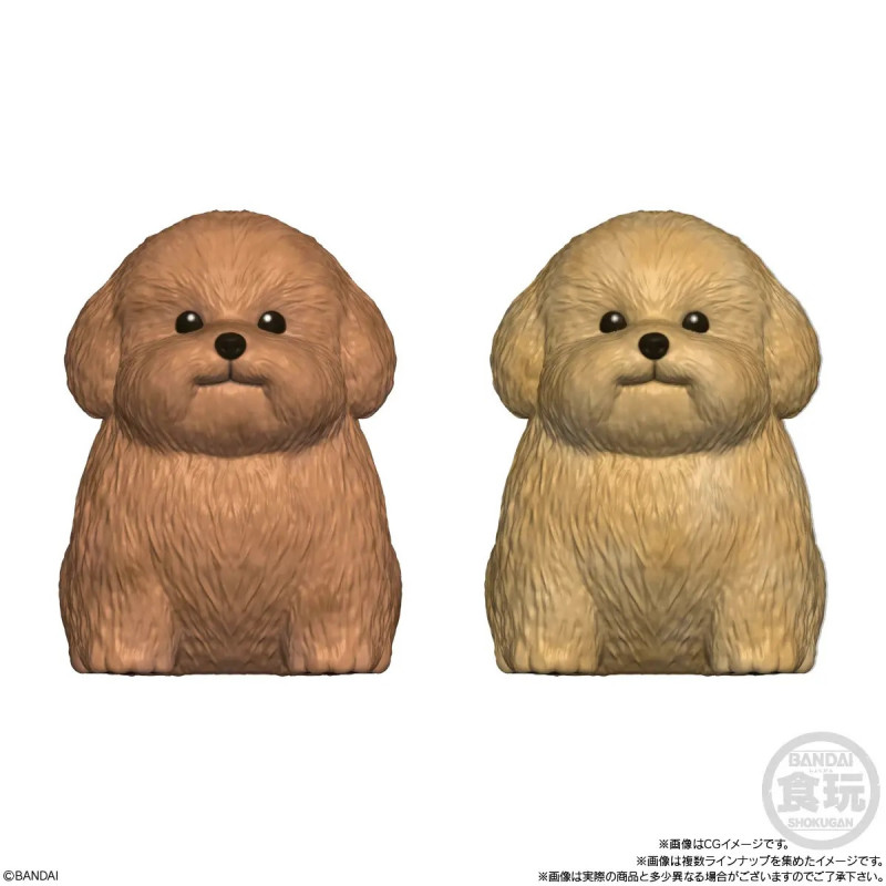 Mocchiri Kororin - Figurine Blind Box Chien ALEATOIRE - Bandai