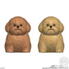 Mocchiri Kororin - Figurine Blind Box Chien ALEATOIRE - Bandai