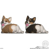 Mocchiri Kororin - Figurine Blind Box Chien ALEATOIRE - Bandai