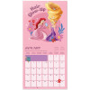 Disney - Calendrier Princesses 2027
