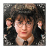 Harry Potter - Calendrier Movie 2027
