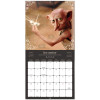 Harry Potter - Calendrier Movie 2027