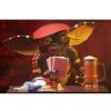 Gremlins – Figurine Flasher Gremlin 18cm Ultimate – NECA