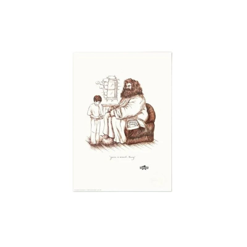 Harry Potter - Art Print "You're a Wizard Harry"