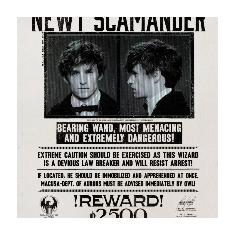 Fantastic Beasts - Carte de voeux lenticulaire Newt Scamander Wanted Notice