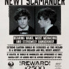 Fantastic Beasts - Carte de voeux lenticulaire Newt Scamander Wanted Notice
