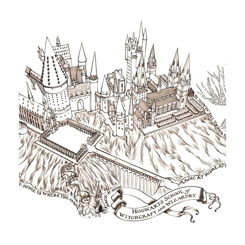 Harry Potter - Poster Art Print Magic at Home at Hogwarts