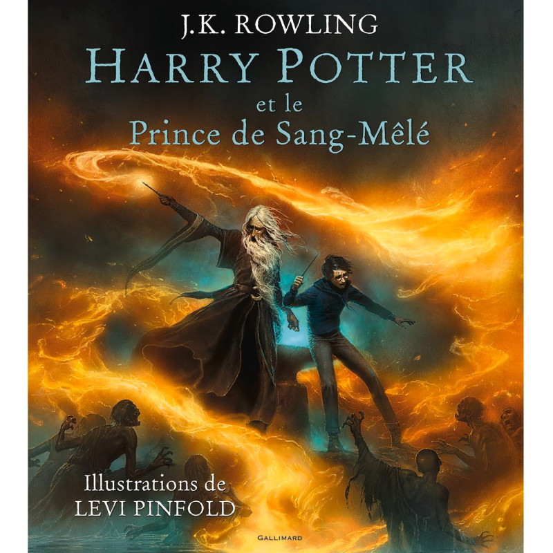 Harry Potter - Tome 6 : Harry Potter et le Prince de Sang-Mêlé (illustré)