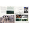 Lord of the Rings - Livre : La Terre du Milieu, des romans à l'écran ED 25e anniversaire