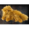 Harry Potter - Peluche Pattenrond 25 cm de long