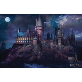 Harry Potter - grand poster Hogwarts (61 x 91,5 cm)