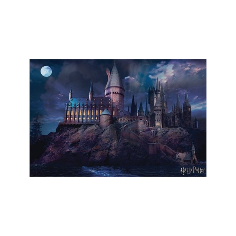 Harry Potter - grand poster Hogwarts (61 x 91,5 cm)